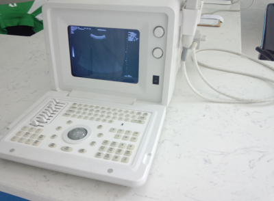 宠物B超机